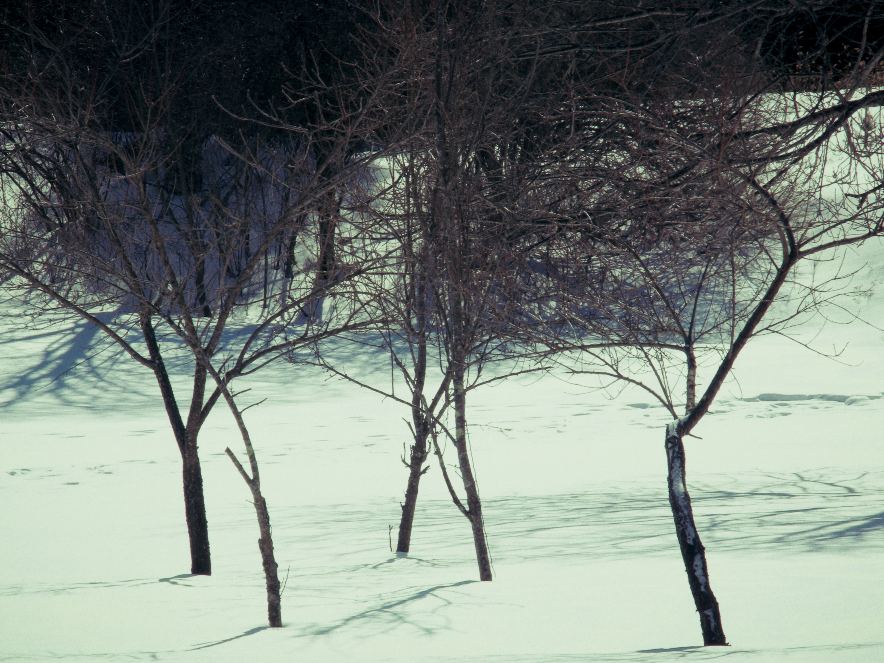 Still 4